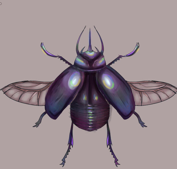 INSECT 2