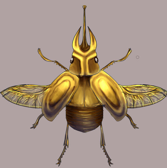 INSECT 1